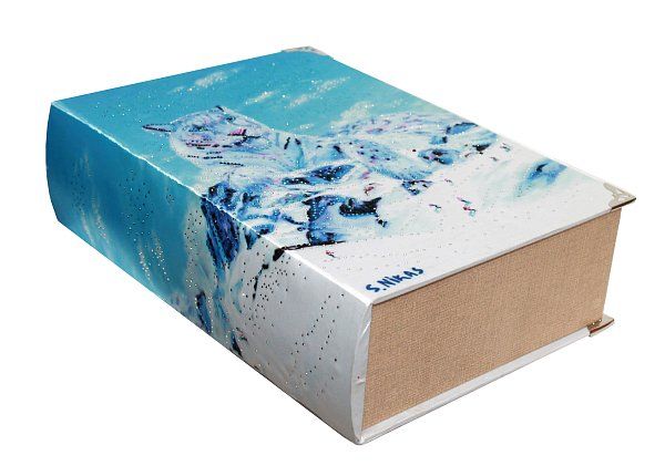 Купить премиум упаковку для подарков Книга большая СНЕЖНЫЙ БАРС 